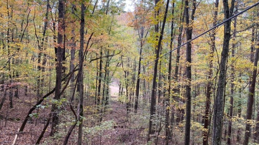 The Vision Zip Line Tour-亨茨维尔必去景点