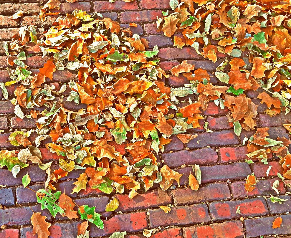 Arbor Lodge State Historical Park-Nebraska City必去景点