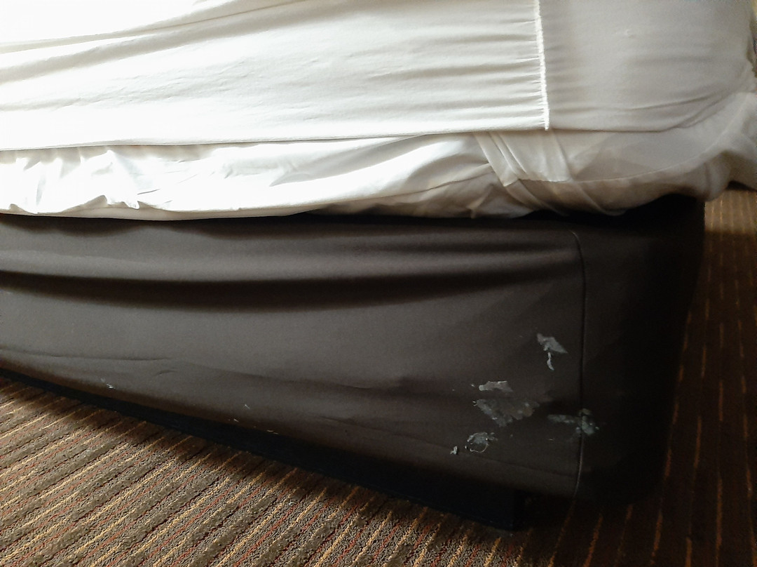 Best Western Temple Inn & Suites主图