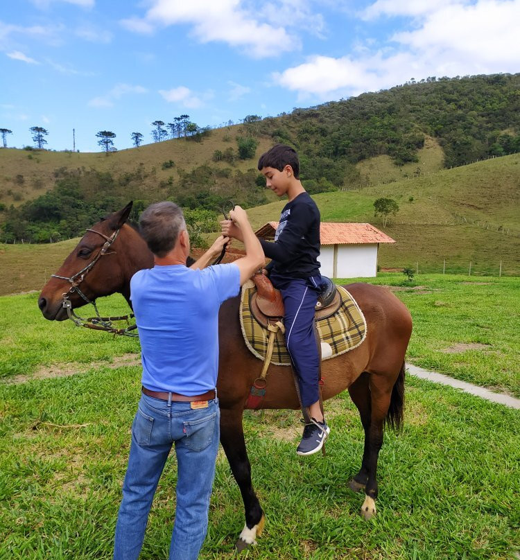 Quinta Do Papagaio主图