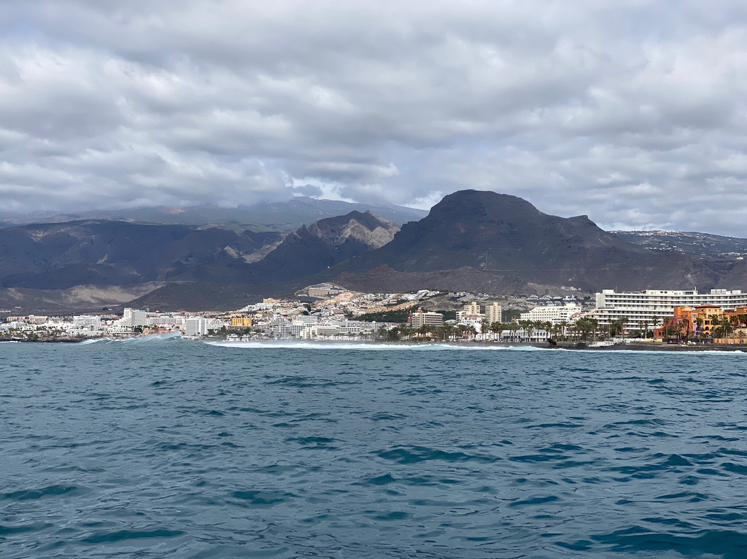 Tenerife Boats-奥德杰海岸必去景点