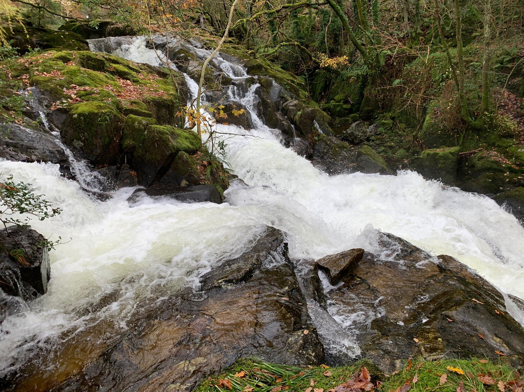 Eskdale Mill景点图片