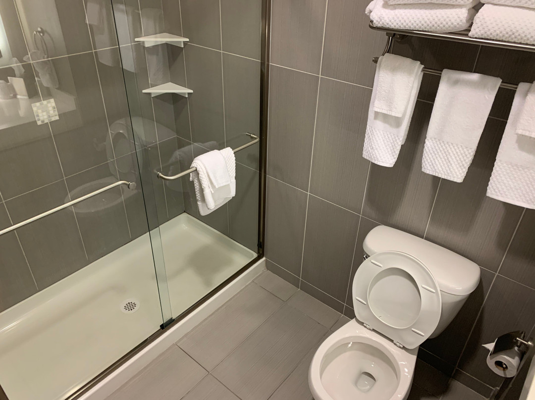 The Mosey Buffalo Williamsville Tapestry Collection Hilton主图