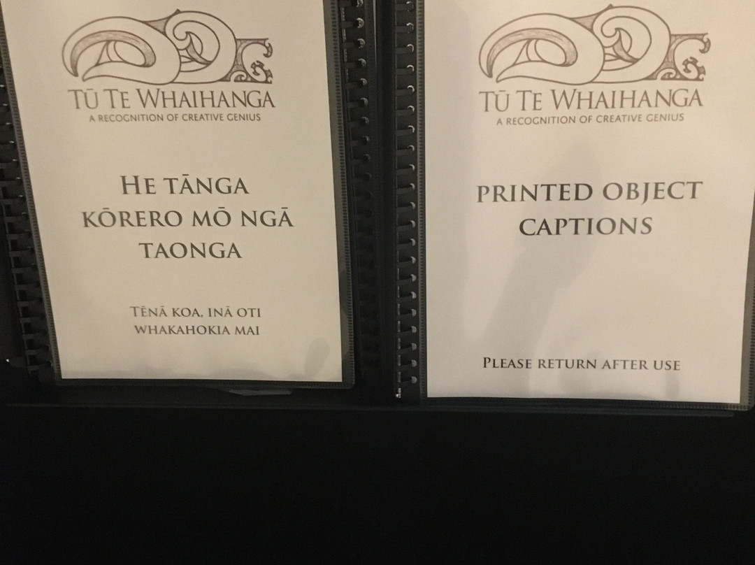 Tairawhiti Museum景点图片
