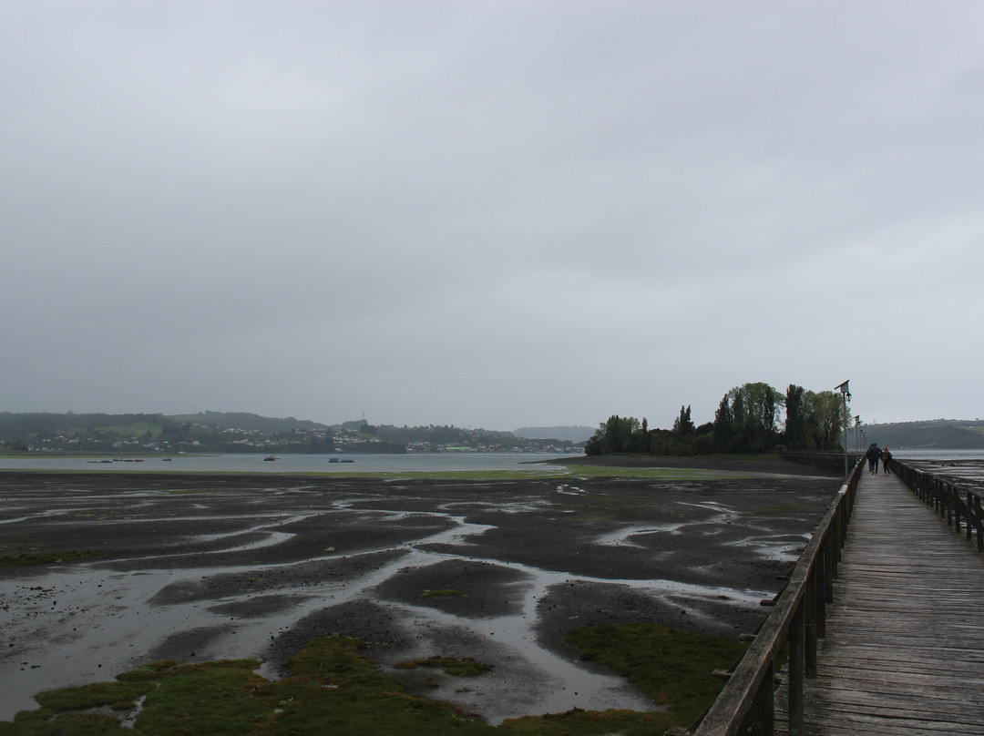 Isla Aucar-Quemchi必去景点