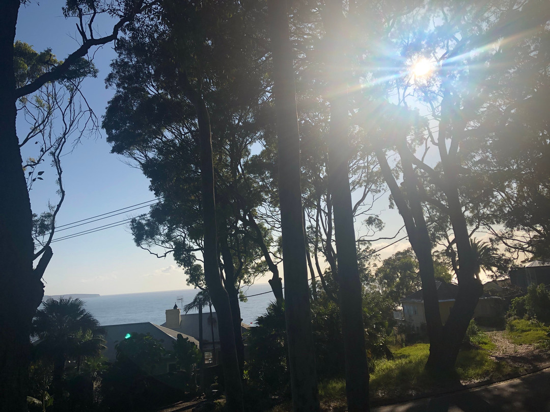 Palm Beach Bed & Breakfast主图