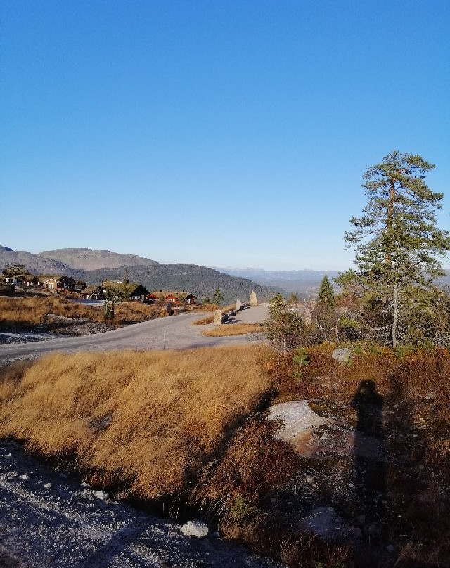 Vrådal Golf景点图片