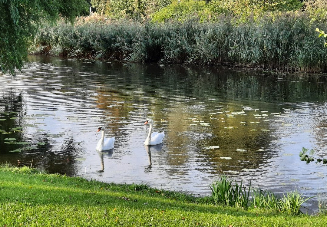 Zuiderpark-鹿特丹必去景点