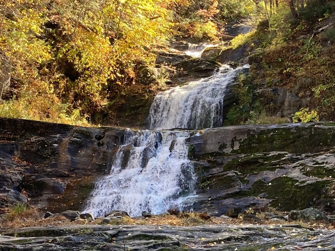 Hilltop House  Bed & Breakfast主图