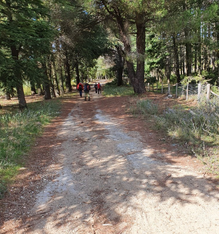 Plateau De Lambert景点图片