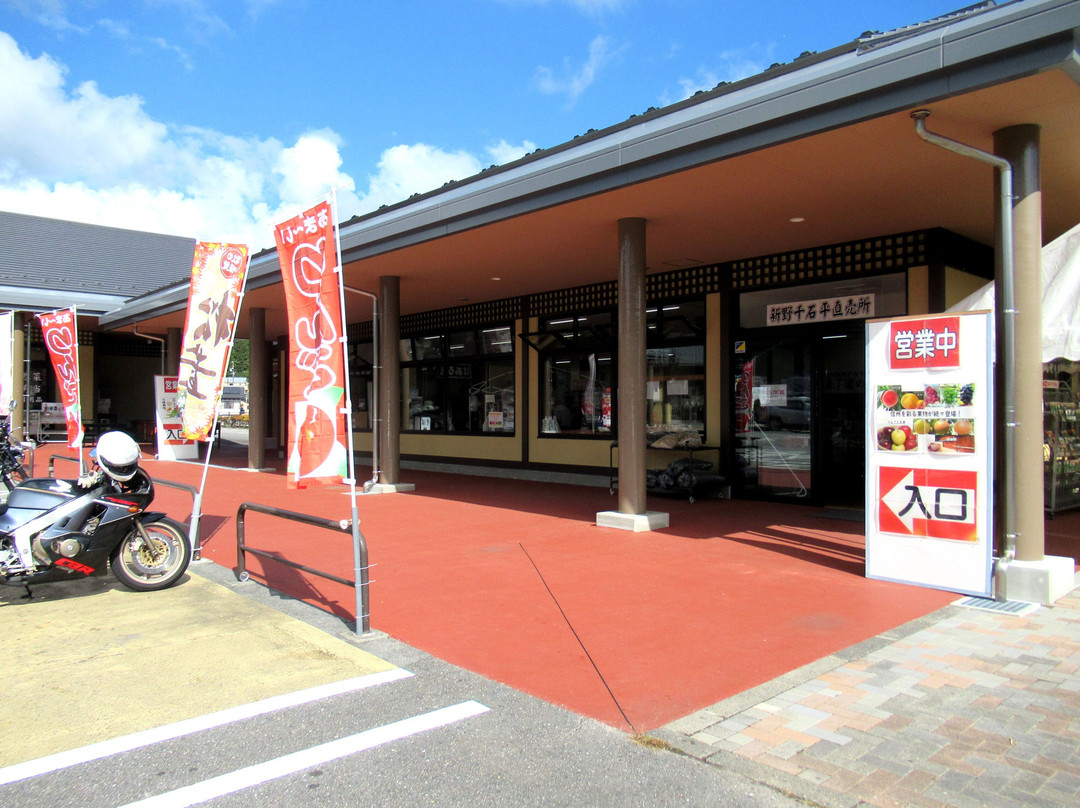 Michi-no-Eki Sinsyuniinosengokudaira-阿南町必去景点