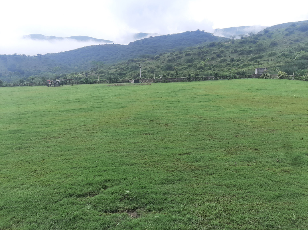 Mewar Palace Resort And Spa主图