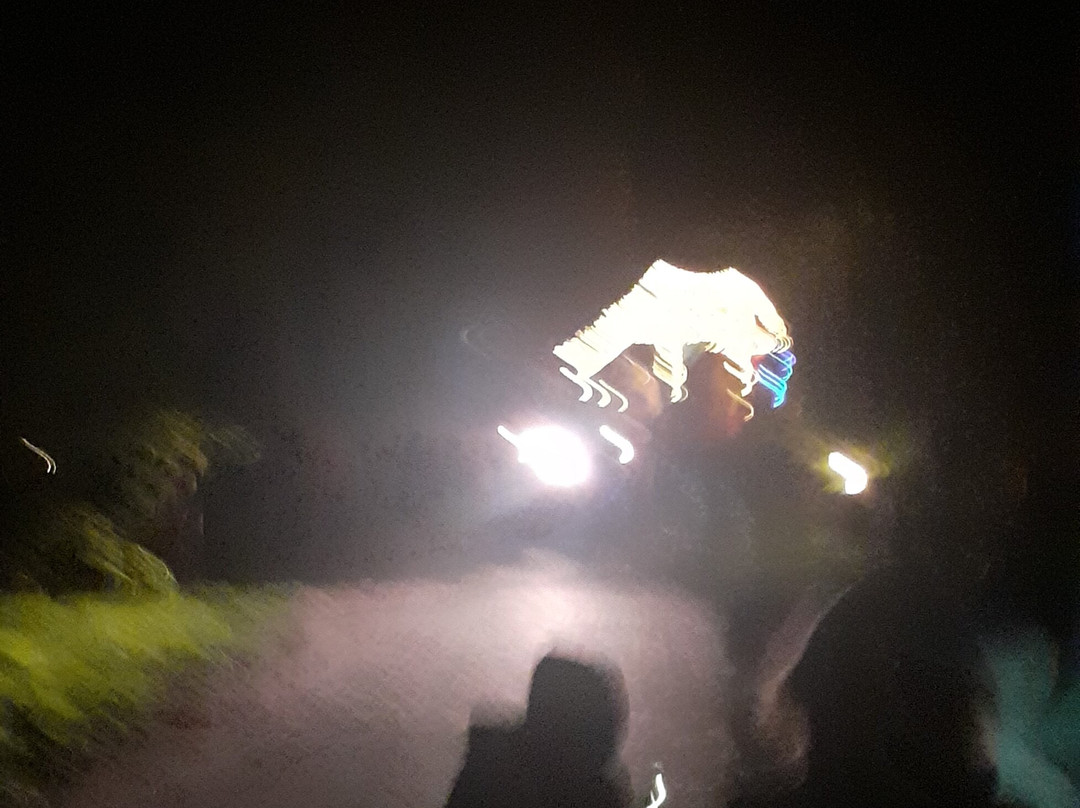 Beerze旅游攻略图片