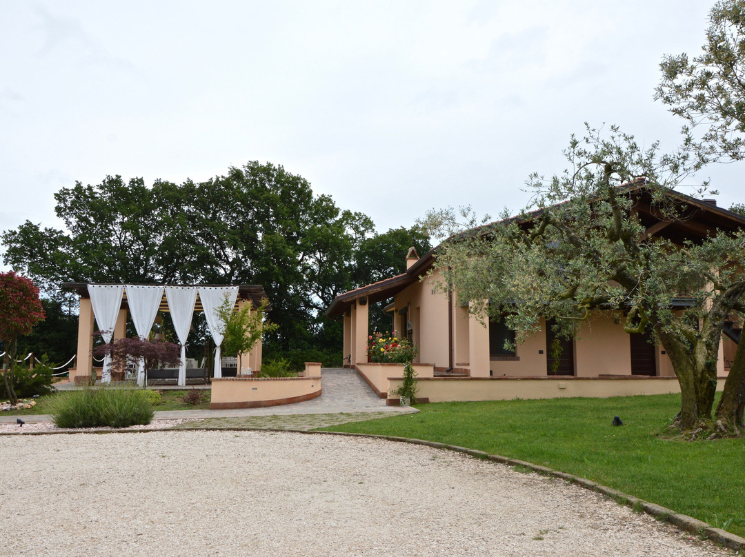 La Collina Di Montecchio主图