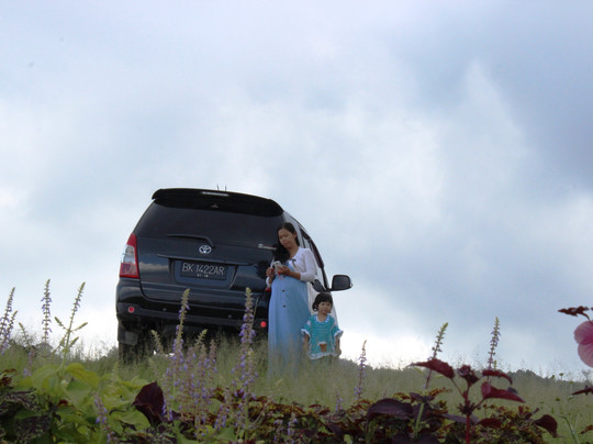 saroha global tour-棉兰必去景点