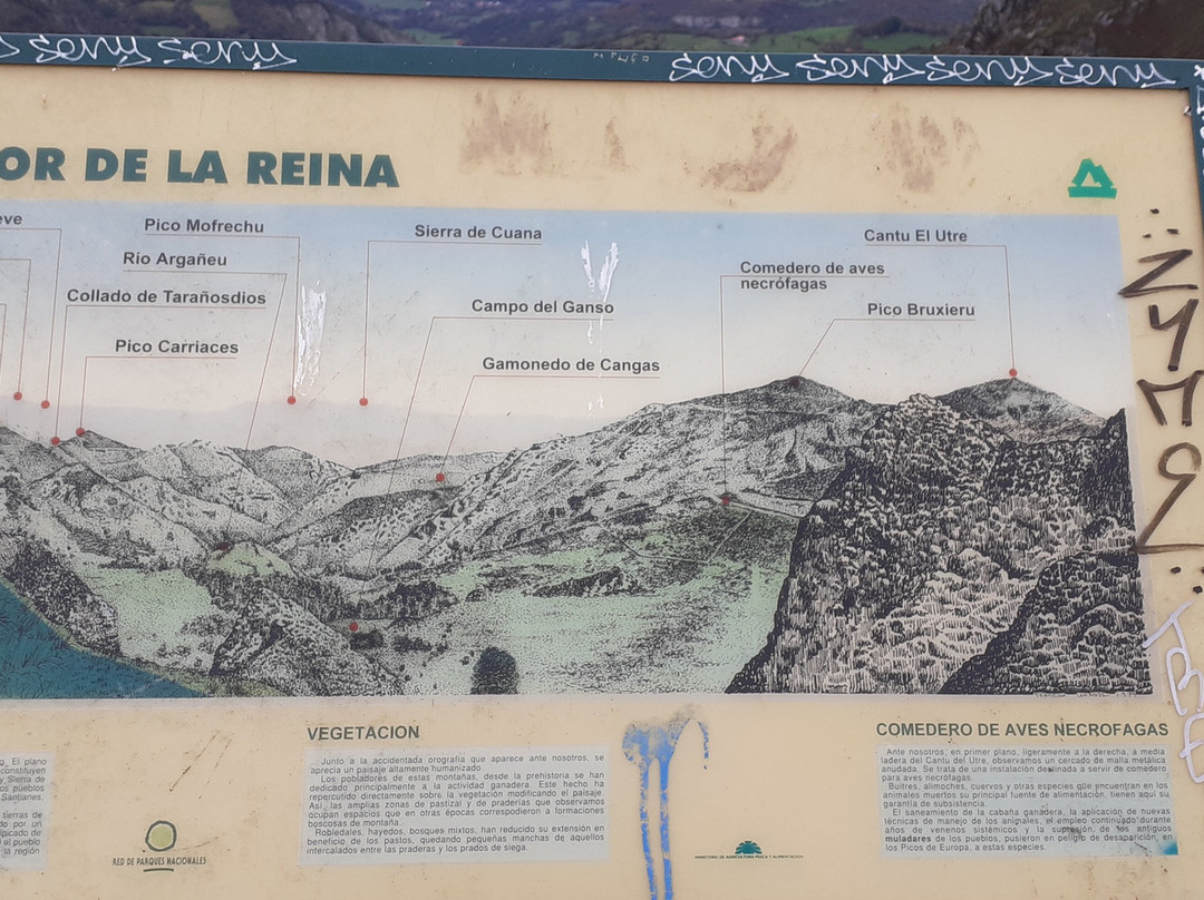 Mirador de la Reina景点图片