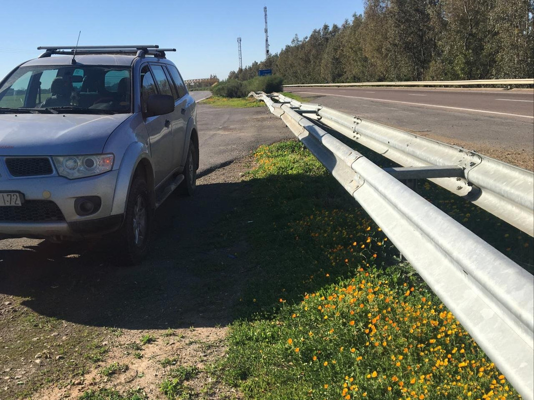 Morocco Tour Operator-Erg Chebbi必去景点