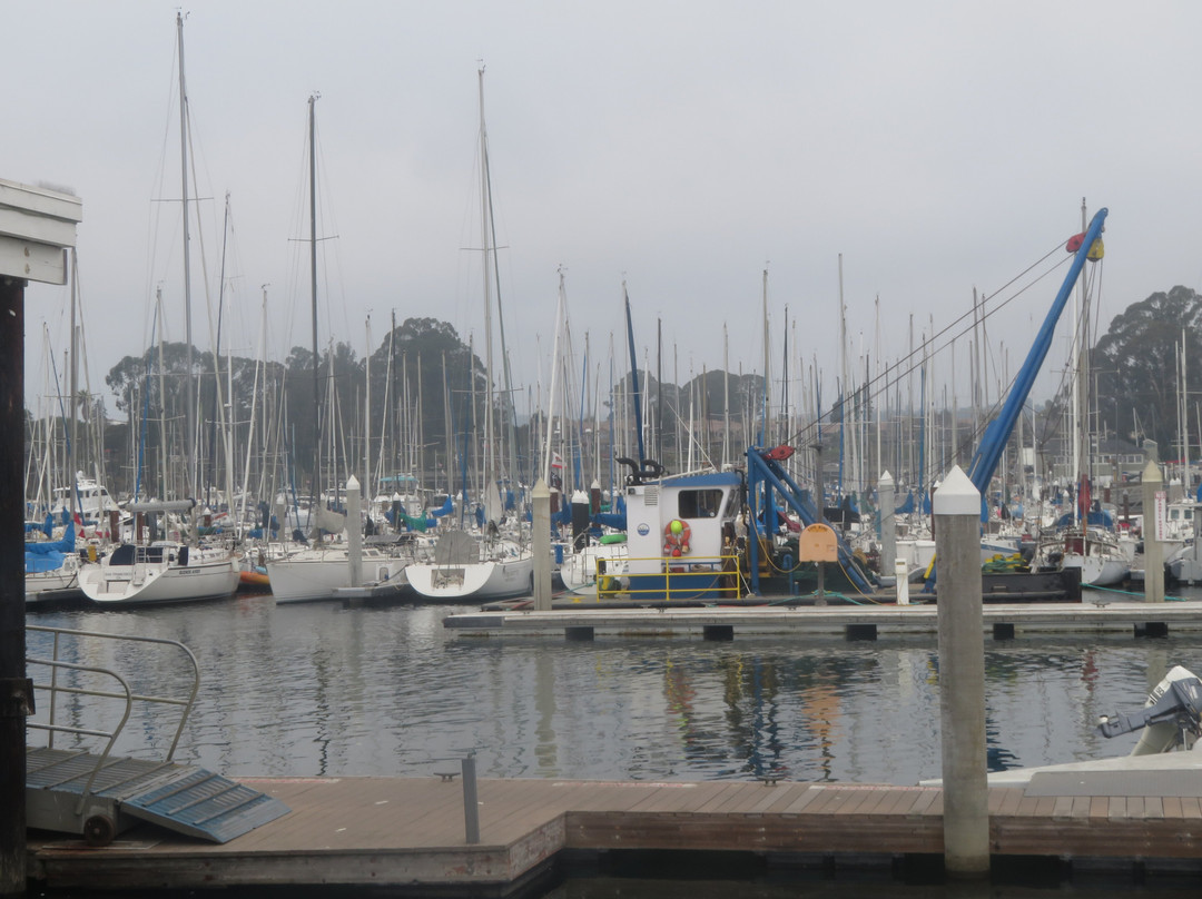 Santa Cruz Harbor-圣克鲁斯必去景点