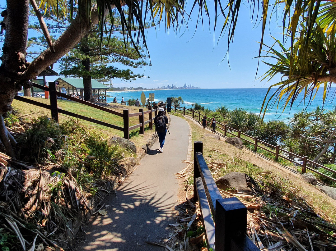Ocean View Lookout Track