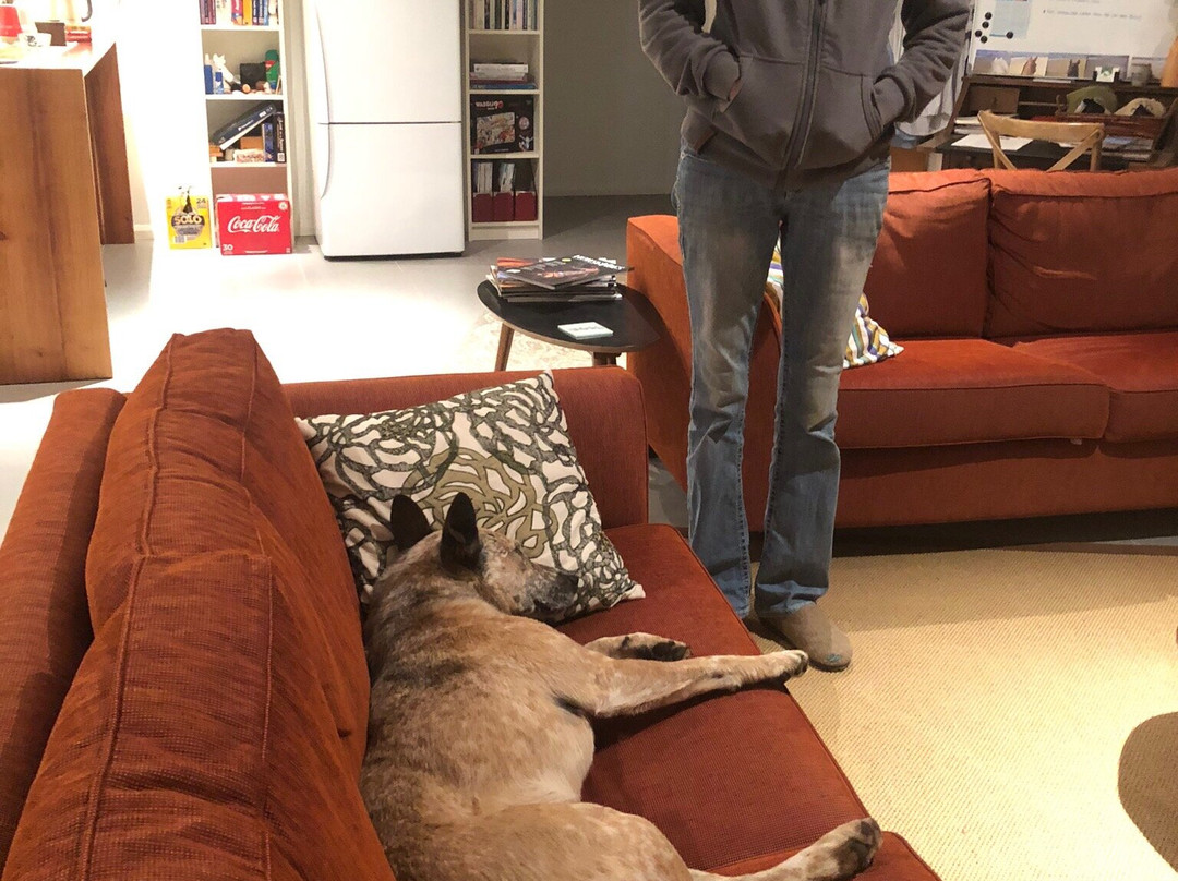 Kerewong Horse Farm Nsw-Lorne必去景点