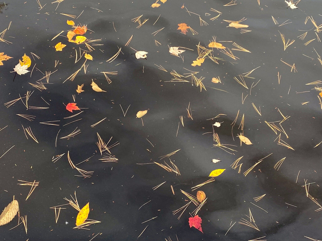 Old Abe State Trail-奇珀瓦福尔斯必去景点