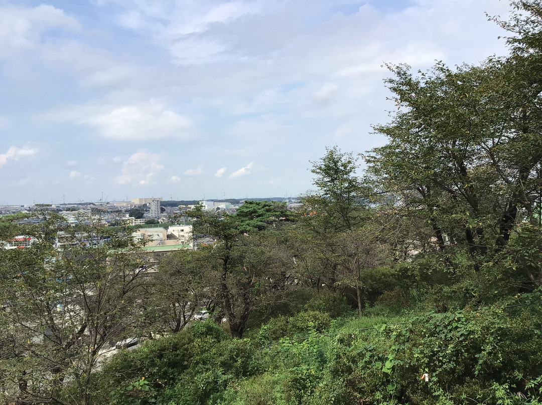 Sayama Inariyama Park-狭山市必去景点
