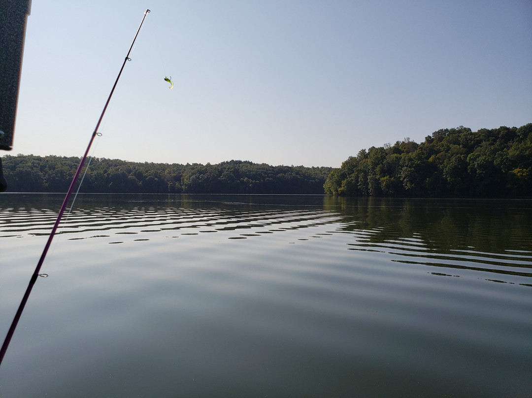 Piedmont Lake Marina景点图片