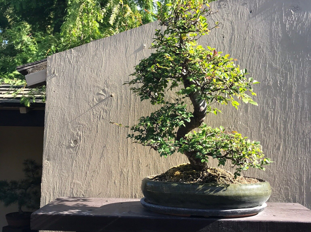De Japanske Haver景点图片