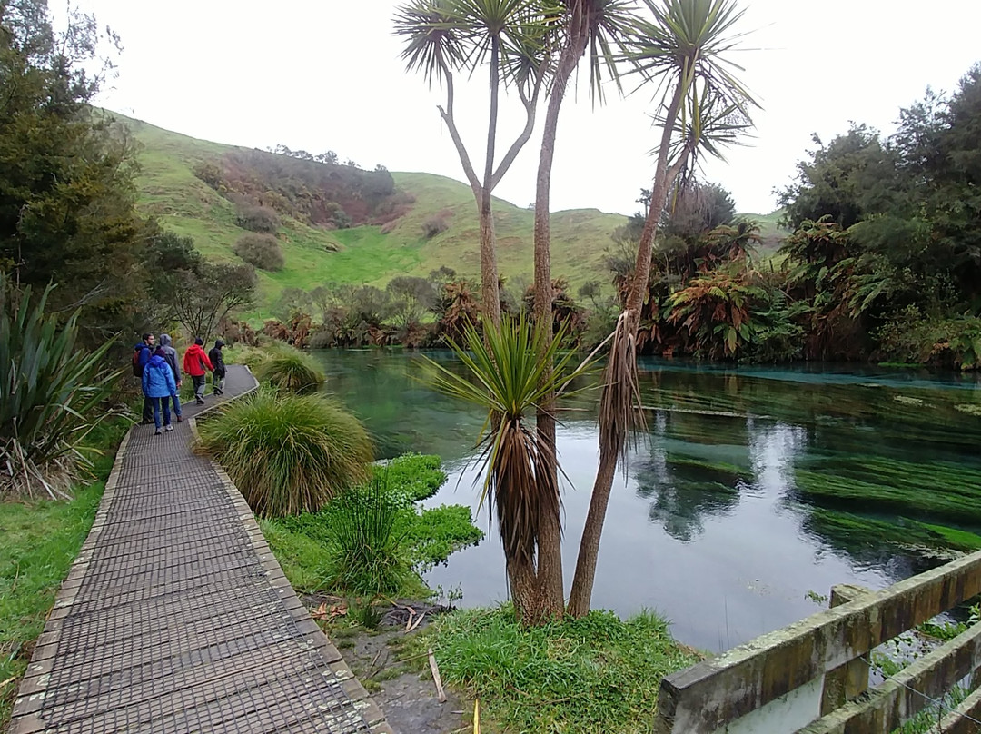 Te Waihou Walkway-普塔鲁鲁必去景点