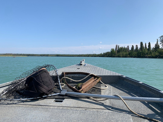 Kenai Wild Fishing-基奈必去景点