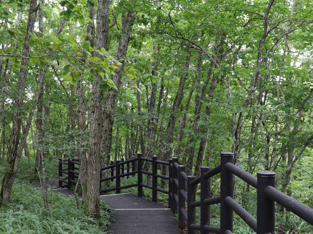 Onnenai Visitor Center-鹤居村必去景点