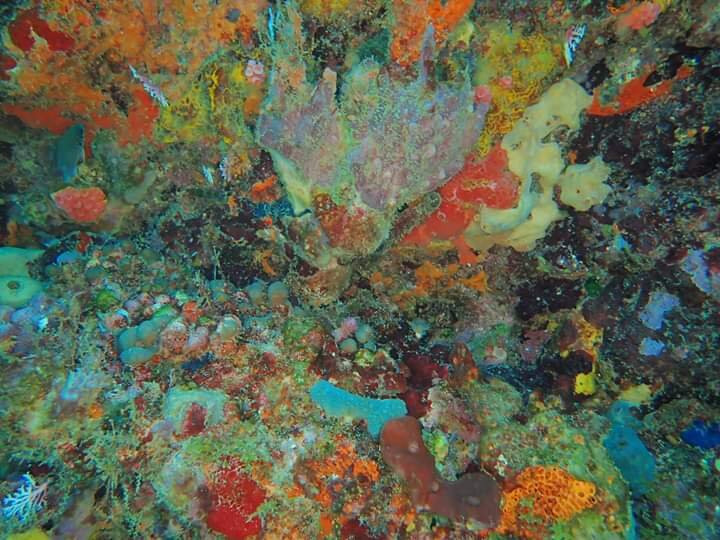 Bubble Dive景点图片