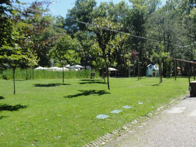 Aquilino Ribeiro Park景点图片