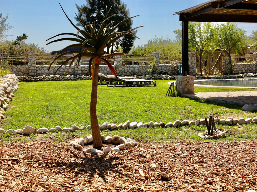 The Farmstead Franschhoek主图