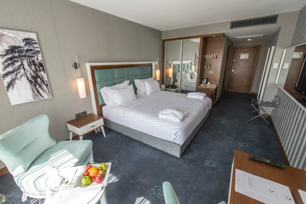 Premier Inn Sakarya主图