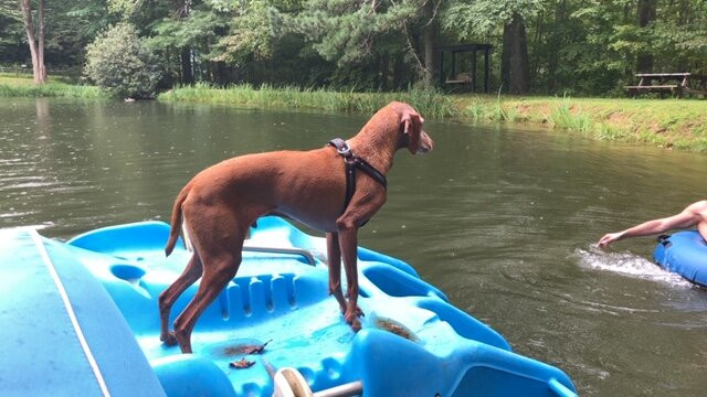 3B's Inn Bed Breakfast & Biscuits主图