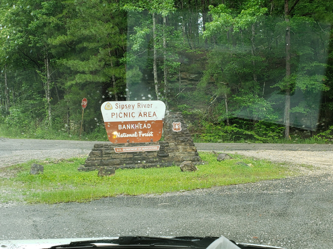 William Bankhead National Forest-Double Springs必去景点