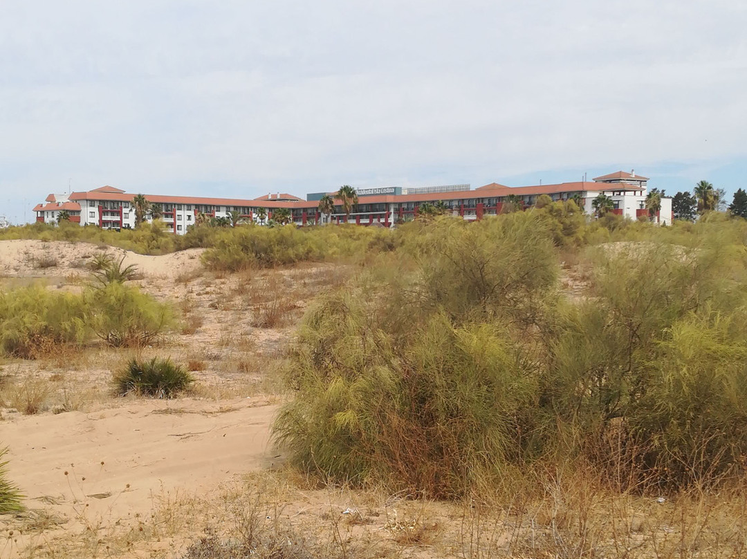 Playa de La Gaviota景点图片