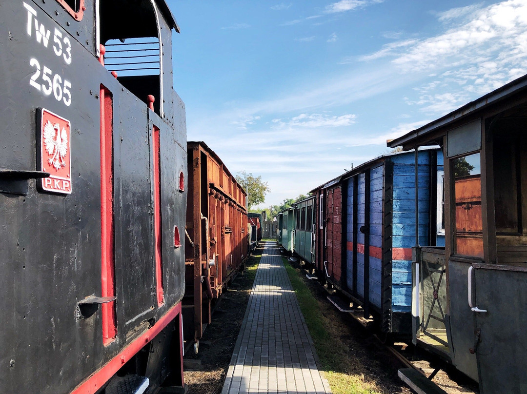 Narrow Gauge Railway Museum in Sochaczew景点图片