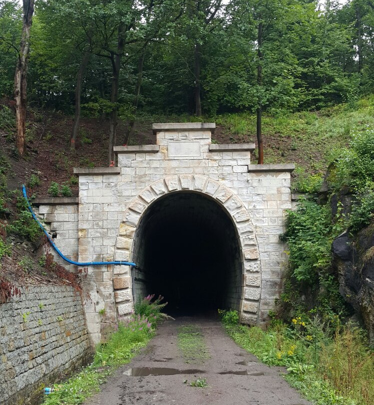Tunel Pod Małym Wołowcem景点图片