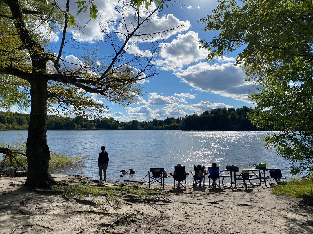 Heart Lake Conservation Park-布兰普敦必去景点