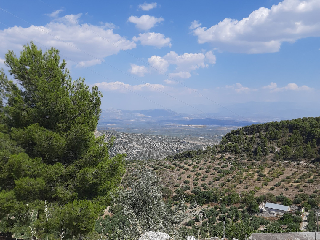 Casa Higueras Bed & Breakfast主图