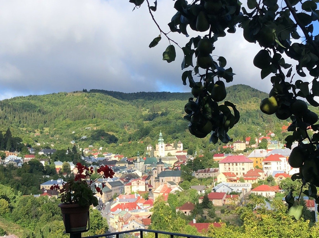 Penzión na Kopci - Alena Dobrovičová主图