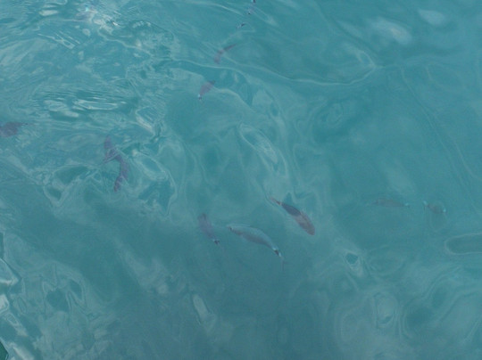 Navivoile-卡内鲁西永必去景点