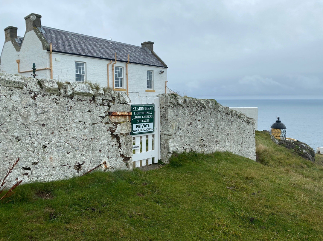 St Abbs Lighthouse景点图片