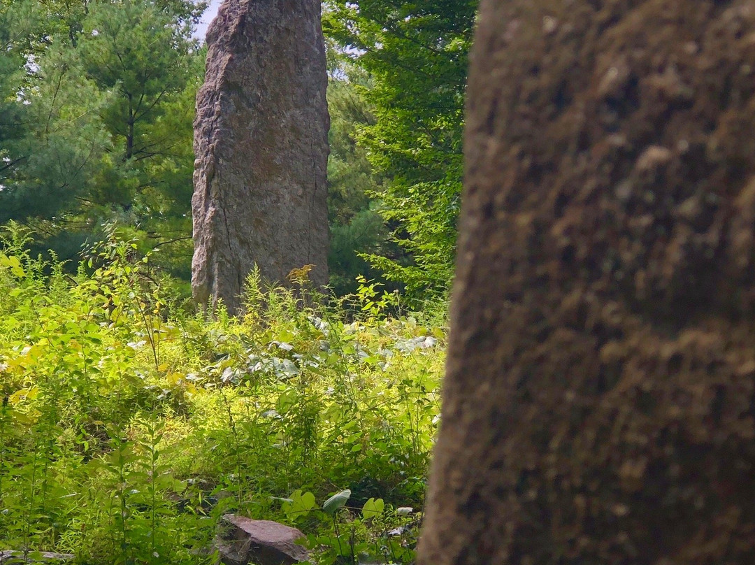 Columcille Megalith Park景点图片