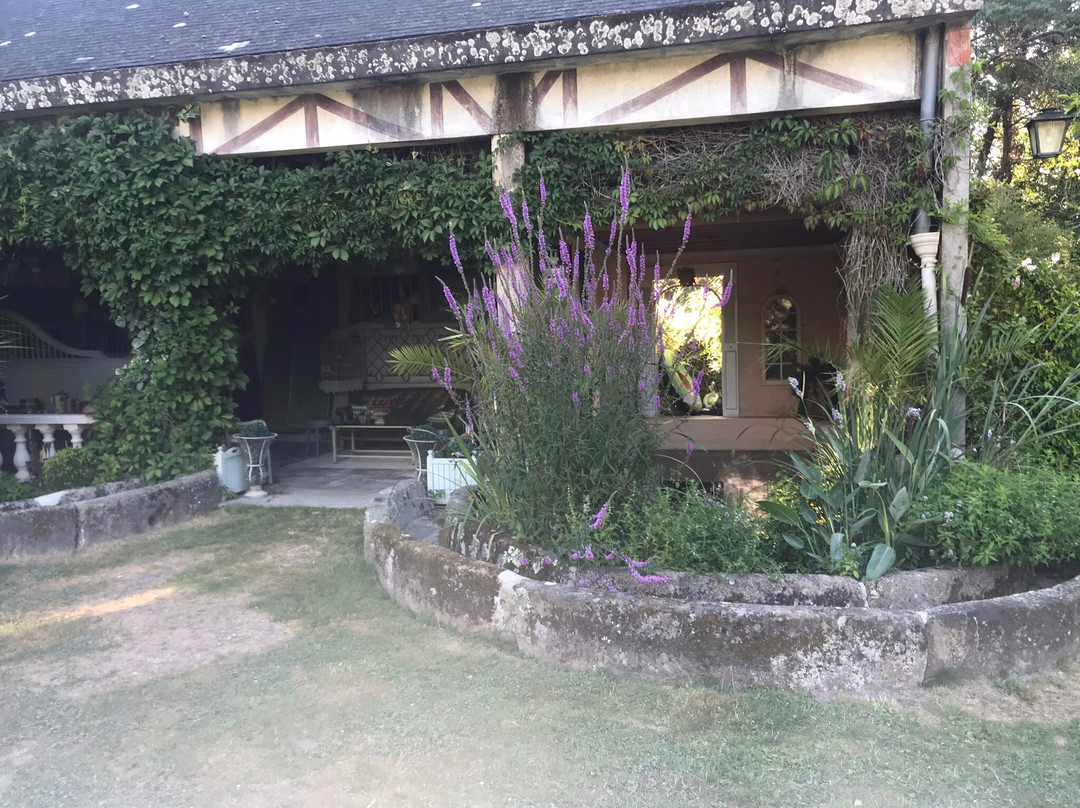 Manoir de la Dube主图
