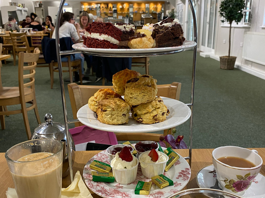 Poplar Tree Garden Centre & Coffee Shop-达勒姆必去景点