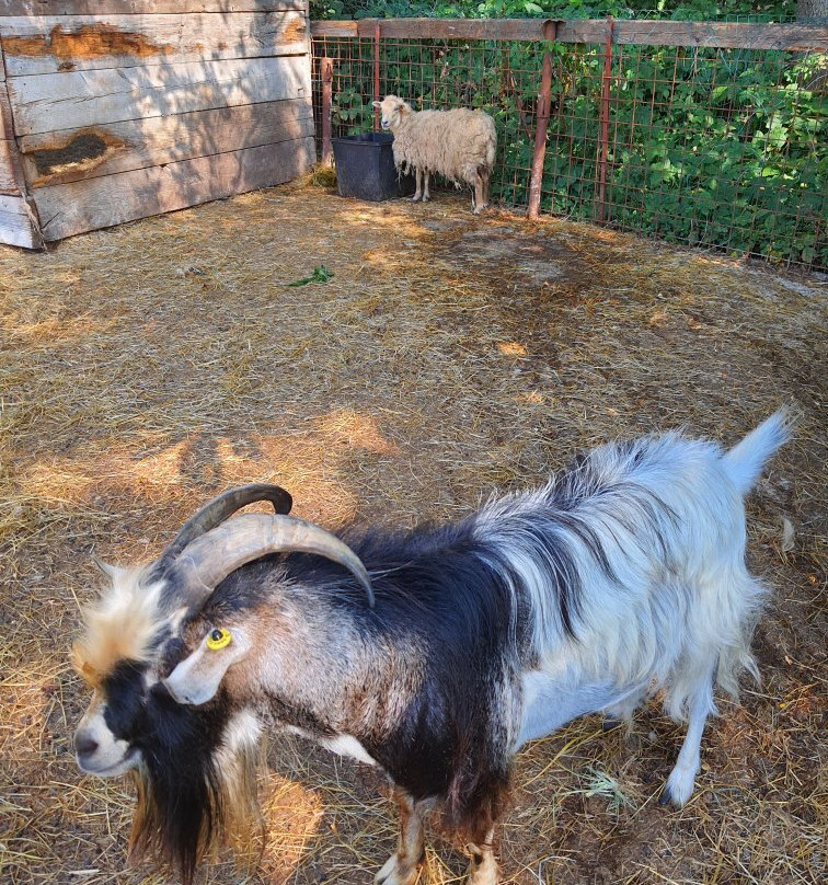 Agriturismo Campofelice主图