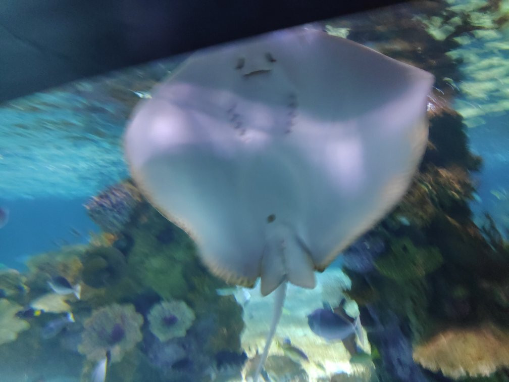 Israel Aquarium-耶路撒冷必去景点